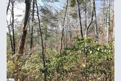 130 Fairway Woods Drive #Lot 14 Fairway Woods Drive, Pickens, SC 29671 - Photo 8