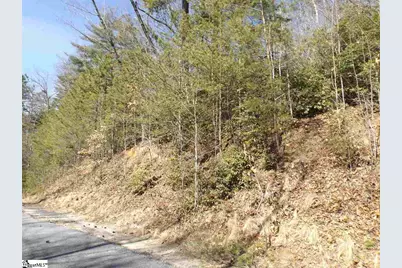 130 Fairway Woods Drive #Lot 14 Fairway Woods Drive, Pickens, SC 29671 - Photo 6