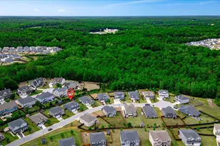 313 Bristle Fern Trail, Simpsonville, SC 29680 - Photo 40
