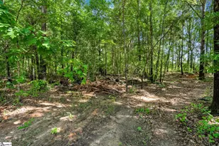 131 Lockaby Rd, Pelzer, SC 29669 - Photo 38
