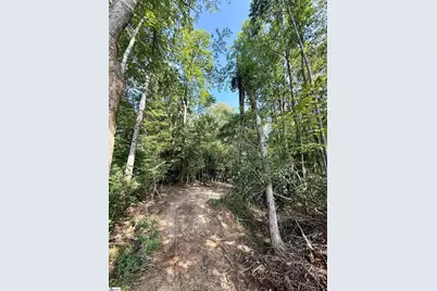 0 Thompson Road #Lot 3, Greer, SC 29651 - Photo 10
