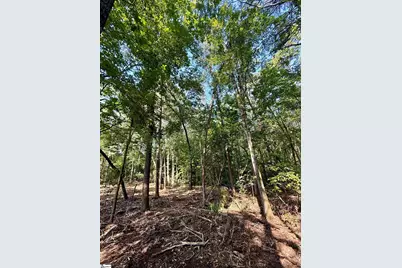 0 Thompson Road #Lot 3, Greer, SC 29651 - Photo 6