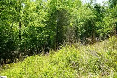 10450 Bullman Street, Inman, SC 29349 - Photo 6