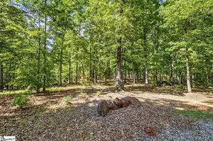 20 Sunset View Ln, Marietta, SC 29661 - Photo 42