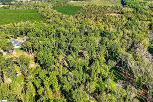 123 Southern Rd, Belton, SC 29627 - Photo 46
