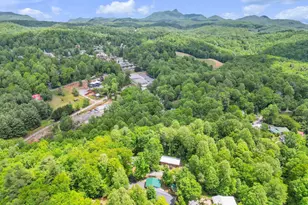 189 Friendly Cir, Saluda, NC 28773 - Photo 34