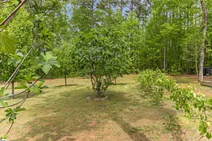 540 Bella Woods Trail, Inman, SC 29349 - Photo 48