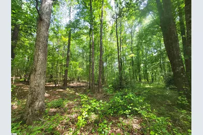 162 Courtney Road, Cowpens, SC 29330 - Photo 2