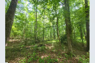 162 Courtney Road, Cowpens, SC 29330 - Photo 4