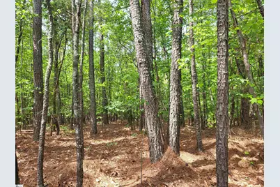 0 Courtney Road, Cowpens, SC 29330 - Photo 2