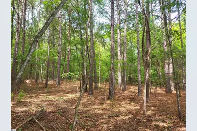 0 Love Springs Road, Cowpens, SC 29303 - Photo 2