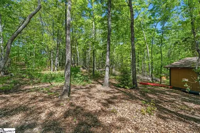 730 W Cove Drive, Mountain Rest, SC 29664 - Photo 36