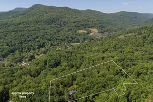 484 Sourwood Ridge Rd, Tryon, NC 28782 - Photo 42