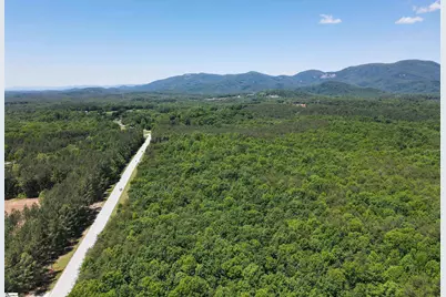 171 Highway 11, Landrum, SC 29356 - Photo 50