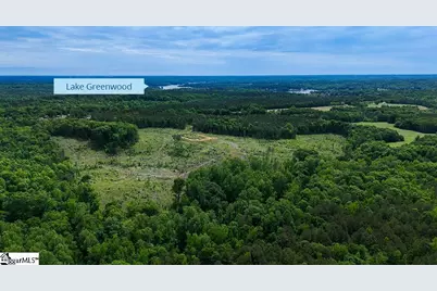 00 Todd Quarter Road, Waterloo, SC 29384 - Photo 2