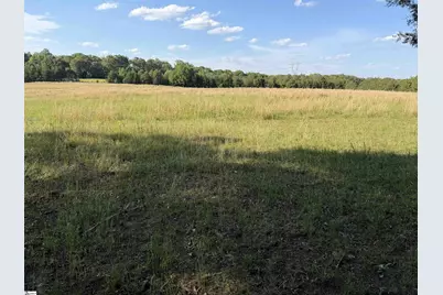 100 Living Waters Trail Lot #1, Woodruff, SC 29388 - Photo 2