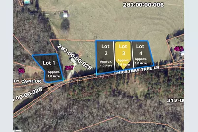 100 Living Waters Trail Lot #3, Woodruff, SC 29388 - Photo 1