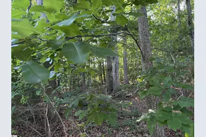 100 Living Waters Trail Lot #4, Woodruff, SC 29388 - Photo 8