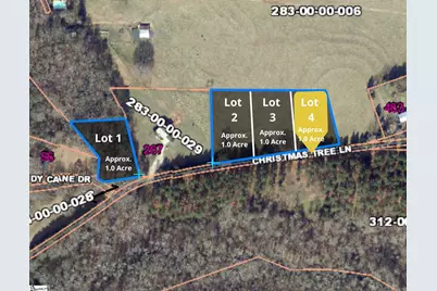 100 Living Waters Trail Lot #4, Woodruff, SC 29388 - Photo 1