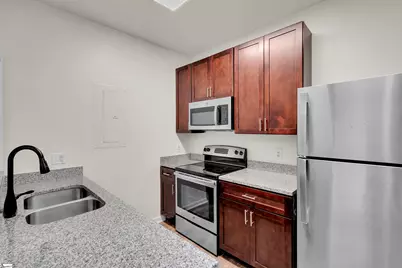 233 N Main Street #Unit 509, Greenville, SC 29601 - Photo 4