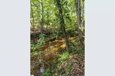 862 Dunklin Bridge Road, Fountain Inn, SC 29644 - Photo 20