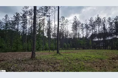 862 Dunklin Bridge Road, Fountain Inn, SC 29644 - Photo 2