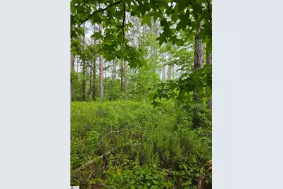 862 Dunklin Bridge Road, Fountain Inn, SC 29644 - Photo 16