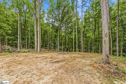 3849 Buffalo West Springs Highway, Jonesville, SC 29353 - Photo 30