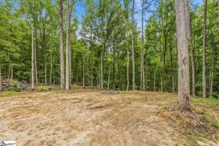 3849 Buffalo-West Springs Hwy, Jonesville, SC 29353 - Photo 30