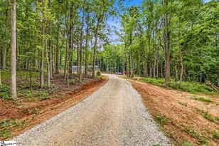 3849 Buffalo-West Springs Hwy, Jonesville, SC 29353 - Photo 34