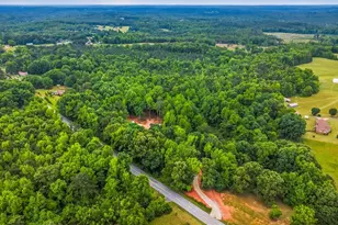 3849 Buffalo-West Springs Hwy, Jonesville, SC 29353 - Photo 40