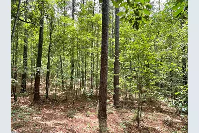 00 Willington Academy Drive, McCormick, SC 28835 - Photo 8