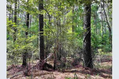 00 Willington Academy Drive, McCormick, SC 28835 - Photo 26