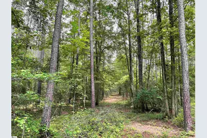 00 Willington Academy Drive, McCormick, SC 28835 - Photo 18