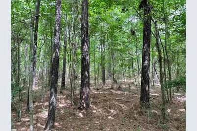 00 Willington Academy Drive, McCormick, SC 28835 - Photo 24