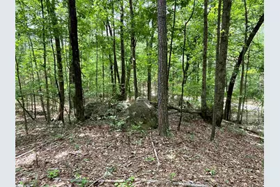 00 McIntosh Road, McCormick, SC 28835 - Photo 6
