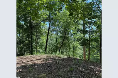 126 Summit Pine, Sunset, SC 29685 - Photo 4
