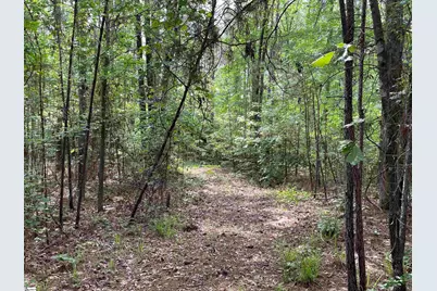 00 Willington Academy Drive, McCormick, SC 28835 - Photo 10