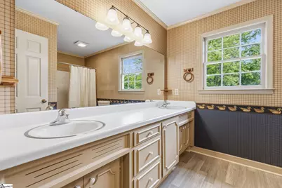 101 White Water Court, Greer, SC 29650 - Photo 30