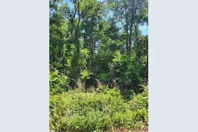160 Lincoln Road, Taylors, SC 29687 - Photo 2
