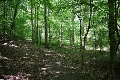 Floyd Blackwell Road, Tryon, NC 28722 - Photo 16