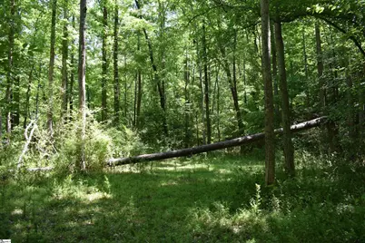 Floyd Blackwell Road, Tryon, NC 28722 - Photo 18