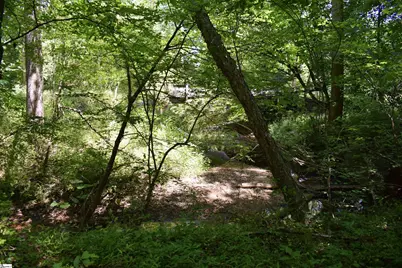 Floyd Blackwell Road, Tryon, NC 28722 - Photo 12