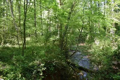 Floyd Blackwell Road, Tryon, NC 28722 - Photo 10