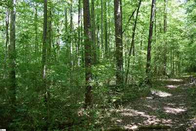 Floyd Blackwell Road, Tryon, NC 28722 - Photo 26