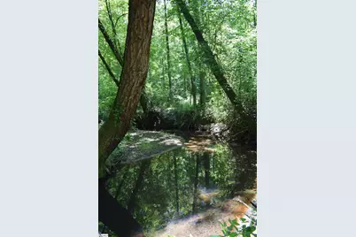 Floyd Blackwell Road, Tryon, NC 28722 - Photo 20