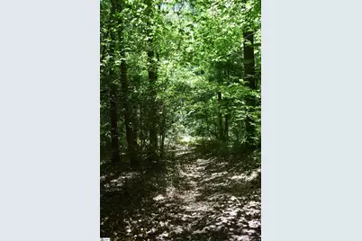 Floyd Blackwell Road, Tryon, NC 28722 - Photo 4