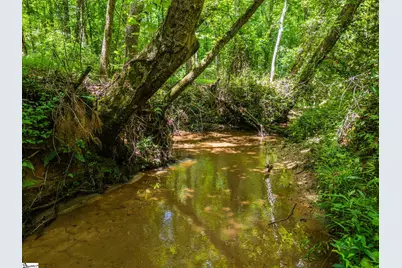 New Circle Road, Travelers Rest, SC 29690 - Photo 6
