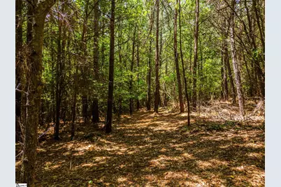 New Circle Road, Travelers Rest, SC 29690 - Photo 4