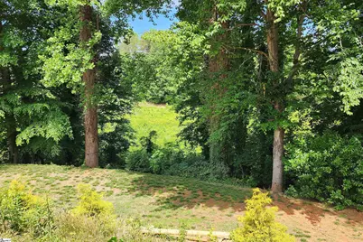 344 Endless Drive, Greer, SC 29651 - Photo 30